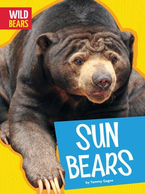 Sun Bears - ebook